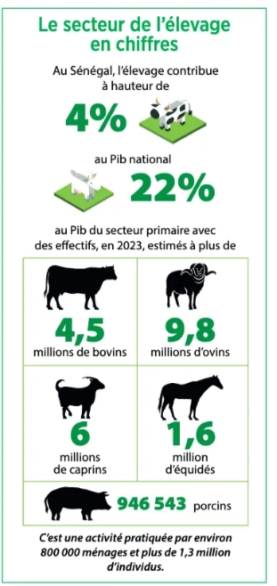 Capture d'écran 2025-02-05 114305.png